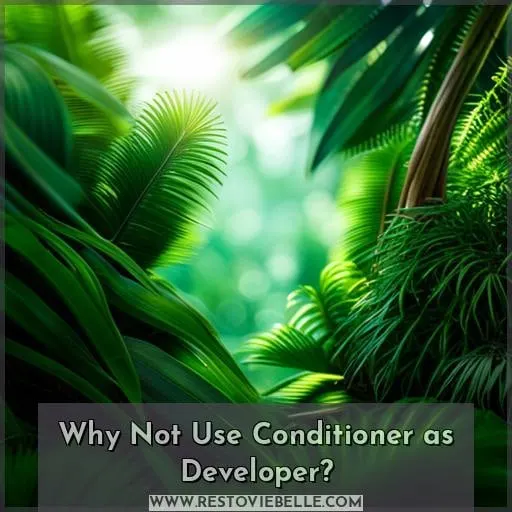 Why Not Use Conditioner as Developer