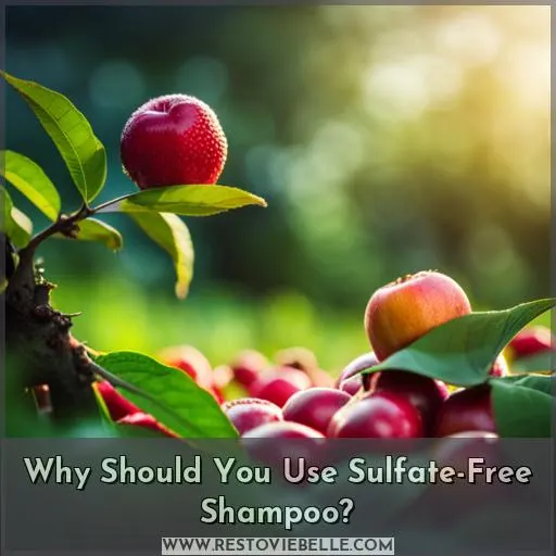 Why Should You Use Sulfate-Free Shampoo