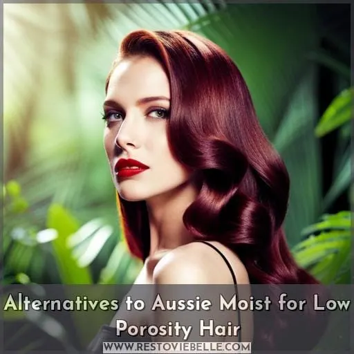 Alternatives to Aussie Moist for Low Porosity Hair