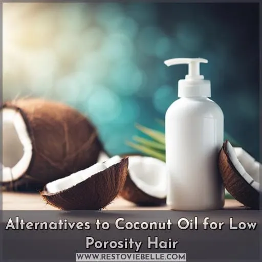 Alternatives to Coconut Oil for Low Porosity Hair