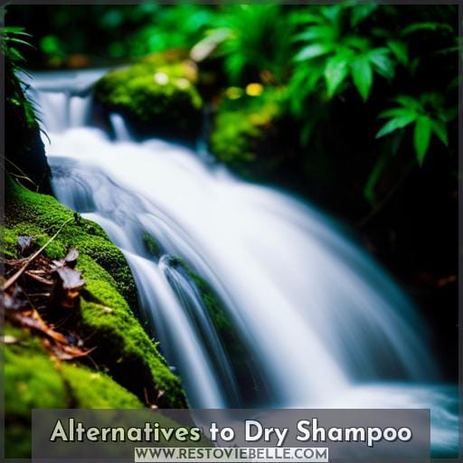 Alternatives to Dry Shampoo
