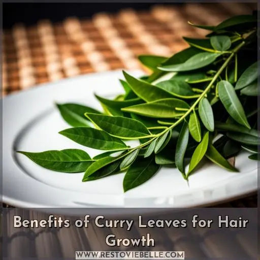 Benefits of Curry Leaves for Hair Growth