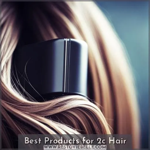 Best Products for 2c Hair