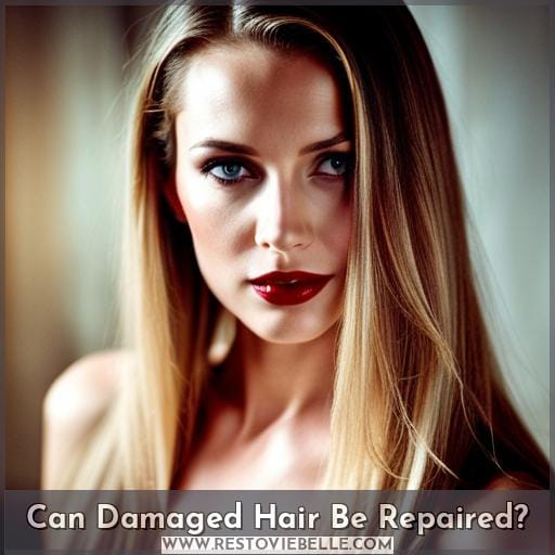 Can Damaged Hair Be Repaired Can Damaged Hair Be Repaired