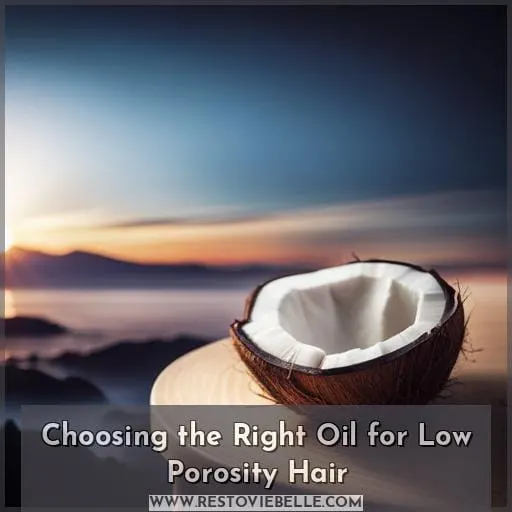 Choosing the Right Oil for Low Porosity Hair