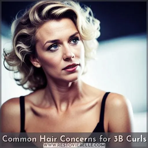 Common Hair Concerns for 3B Curls