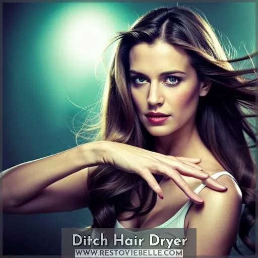 Ditch Hair Dryer