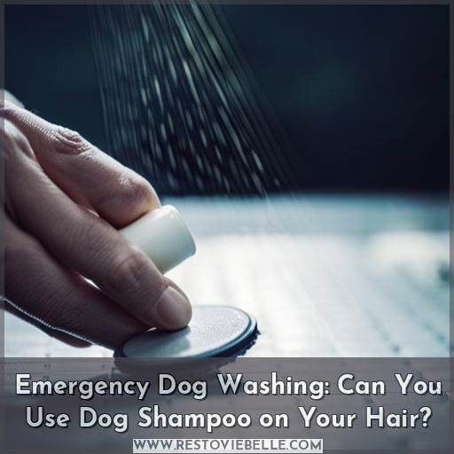 Emergency Dog Washing: Can You Use Dog Shampoo on Your Hair Emergency Dog Washing: Can You Use Dog Shampoo on Your Hair