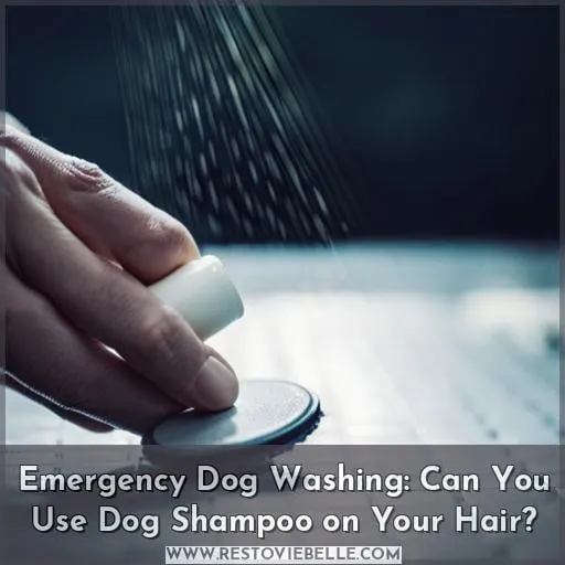 Emergency Dog Washing: Can You Use Dog Shampoo on Your Hair
