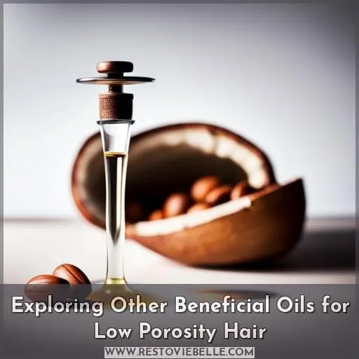 Exploring Other Beneficial Oils for Low Porosity Hair