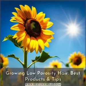 grow low porosity hair