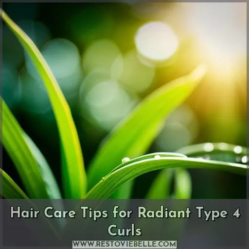 Hair Care Tips for Radiant Type 4 Curls