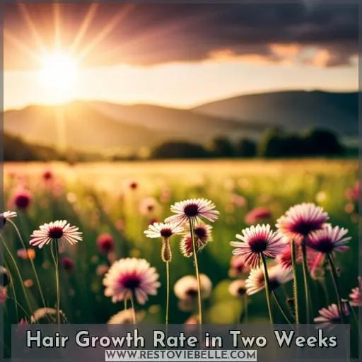 Hair Growth Rate in Two Weeks