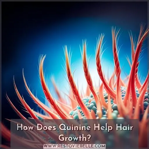 How Does Quinine Help Hair Growth