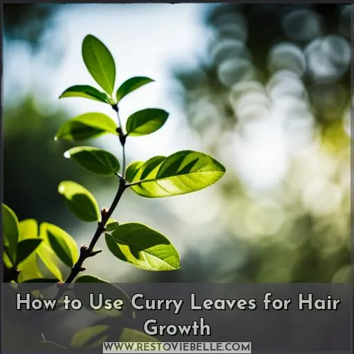 How to Use Curry Leaves for Hair Growth