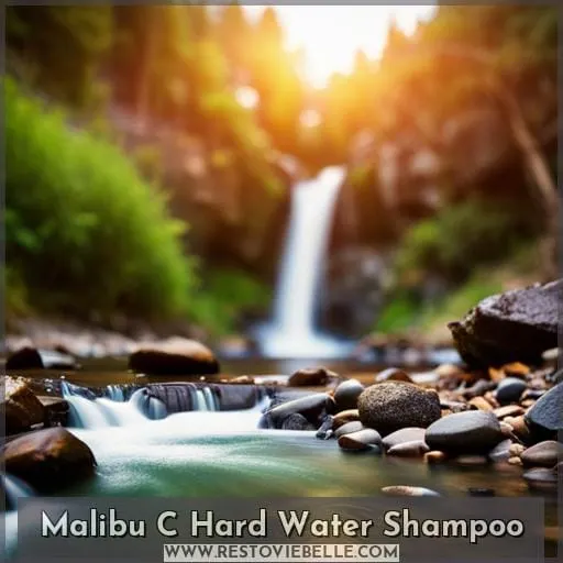 Malibu C Hard Water Shampoo