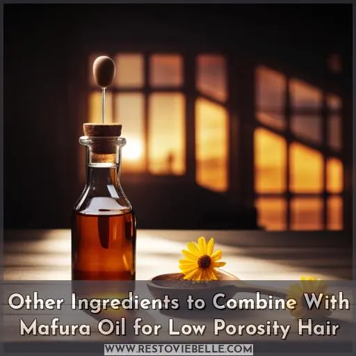 Other Ingredients to Combine With Mafura Oil for Low Porosity Hair