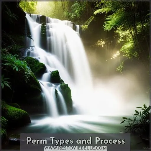Perm Types and Process