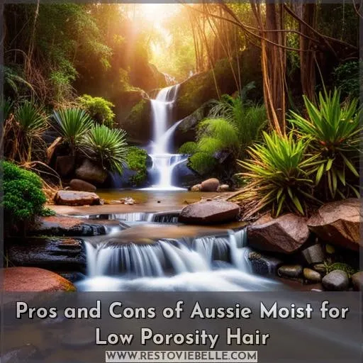 Pros and Cons of Aussie Moist for Low Porosity Hair