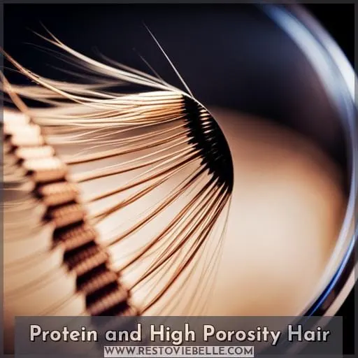 Protein and High Porosity Hair