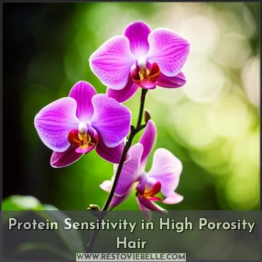 Protein Sensitivity in High Porosity Hair