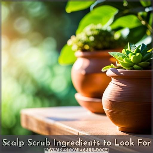 Scalp Scrub Ingredients to Look For