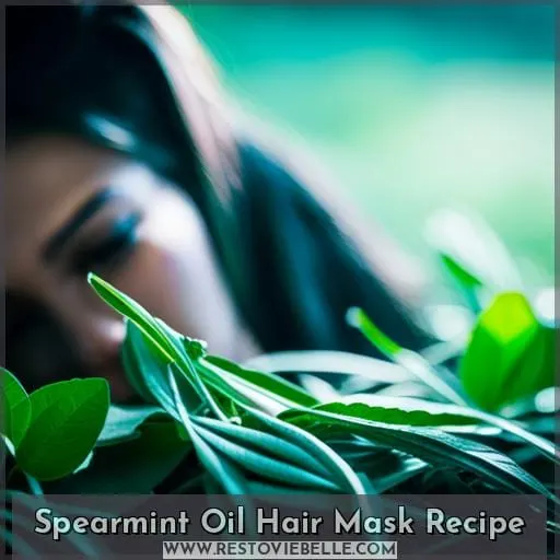 Spearmint Oil Hair Mask Recipe