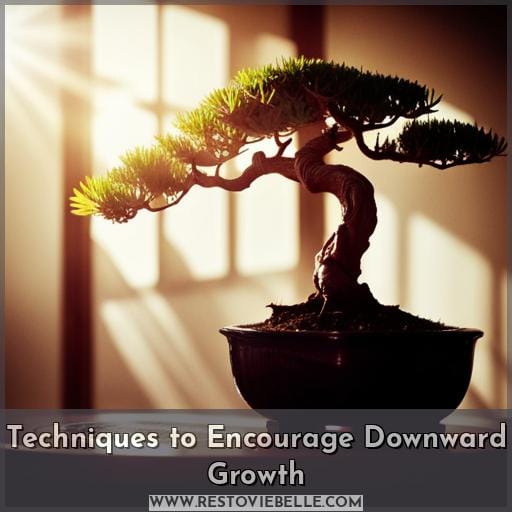 Techniques to Encourage Downward Growth