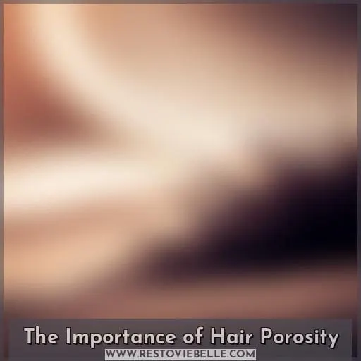 The Importance of Hair Porosity