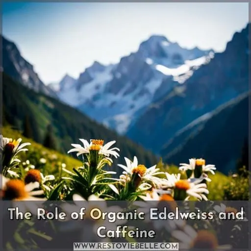 The Role of Organic Edelweiss and Caffeine