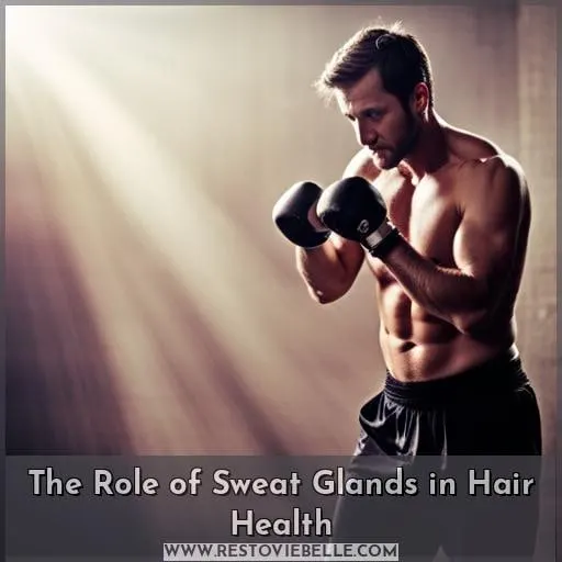 The Role of Sweat Glands in Hair Health