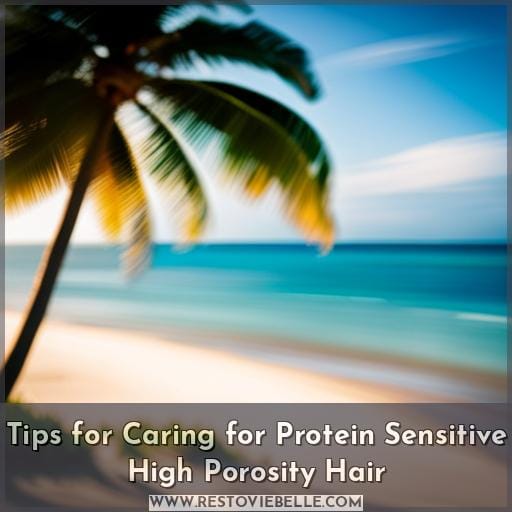 Tips for Caring for Protein Sensitive High Porosity Hair