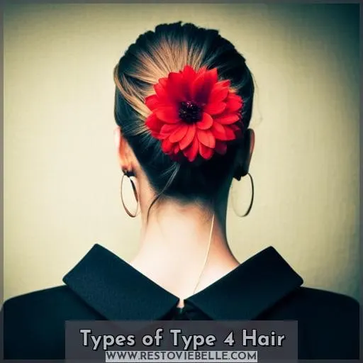 Types of Type 4 Hair