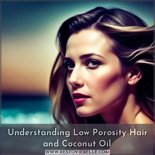 Understanding Low Porosity Hair and Coconut Oil