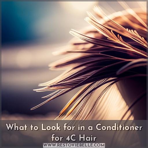 What to Look for in a Conditioner for 4C Hair