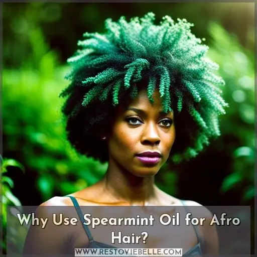 Why Use Spearmint Oil for Afro Hair