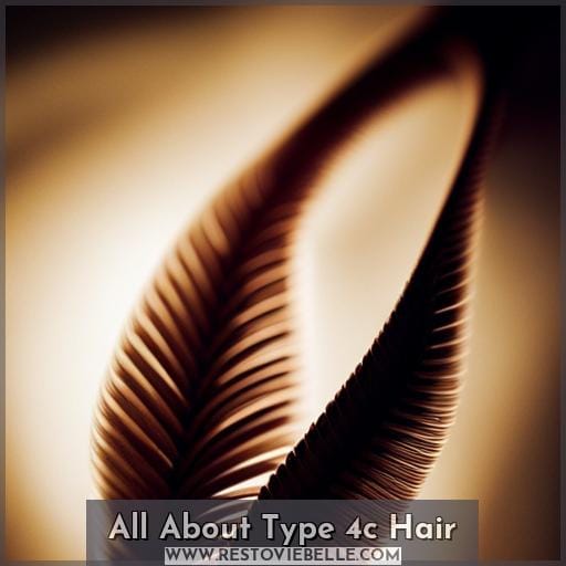 All About Type 4c Hair All About Type 4c Hair
