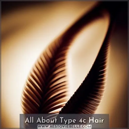 All About Type 4c Hair
