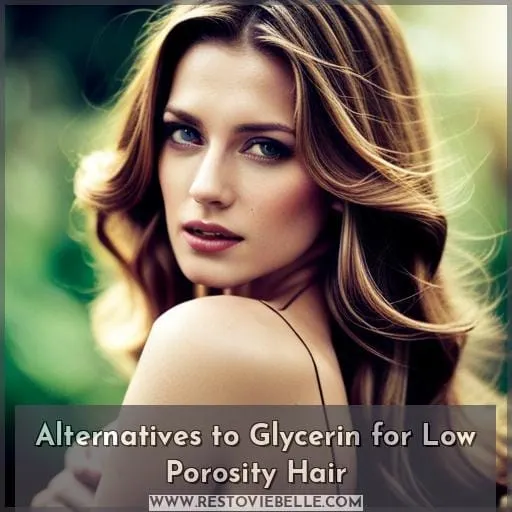 Alternatives to Glycerin for Low Porosity Hair