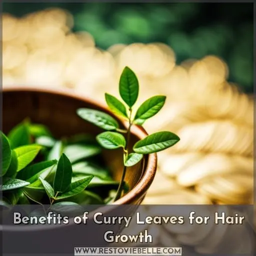 Benefits of Curry Leaves for Hair Growth