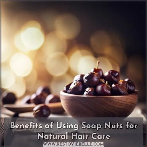 Benefits of Using Soap Nuts for Natural Hair Care