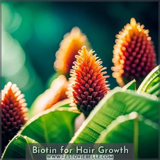 Biotin for Hair Growth