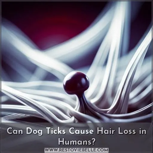 Can Dog Ticks Cause Hair Loss in Humans