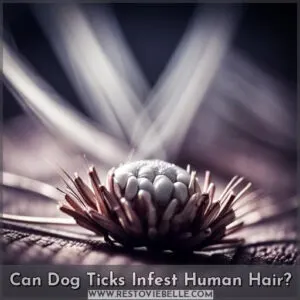 can dog ticks live on human hair