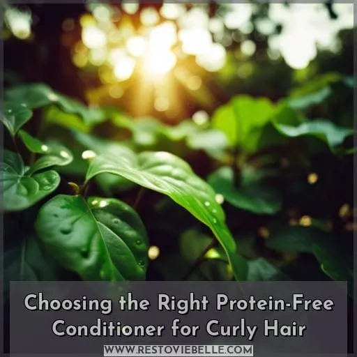 Choosing the Right Protein-Free Conditioner for Curly Hair
