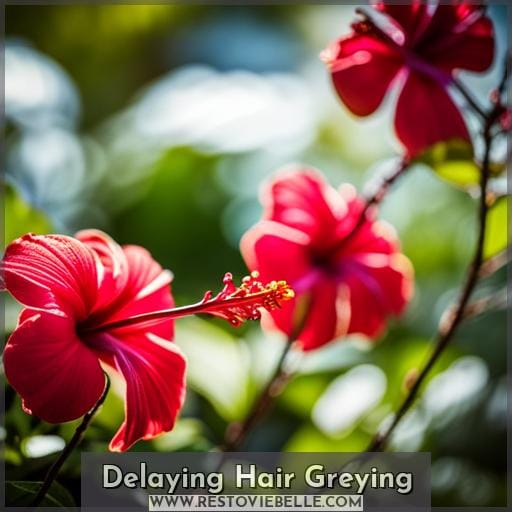 Delaying Hair Greying Delaying Hair Greying