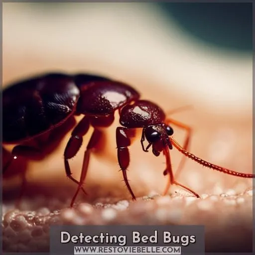 Detecting Bed Bugs