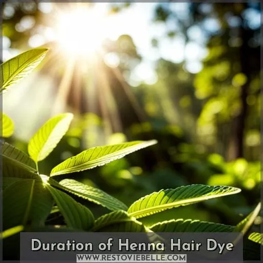 Duration of Henna Hair Dye