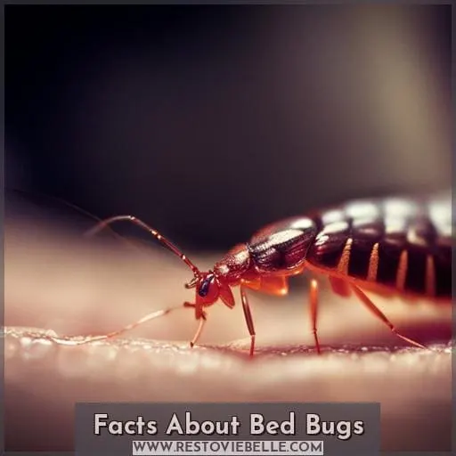 Facts About Bed Bugs