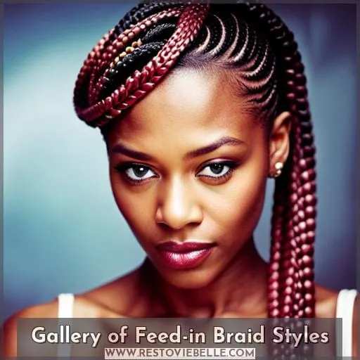 Gallery of Feed-in Braid Styles